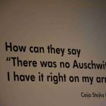 DSC_0104_00093 (June 24, 2023)